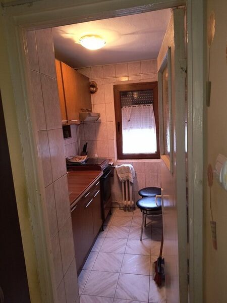 Vitan, Nicolae Pascu